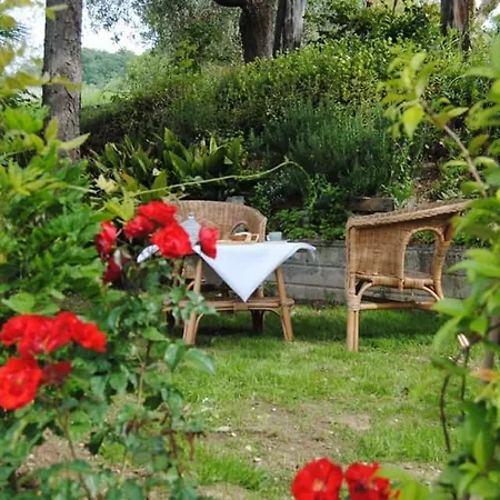 Il Giardino Aromatico *